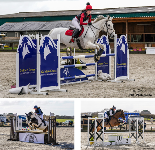 5 Different Types Of Horse Jumps  Horse Jumping Barn - Comly Sports